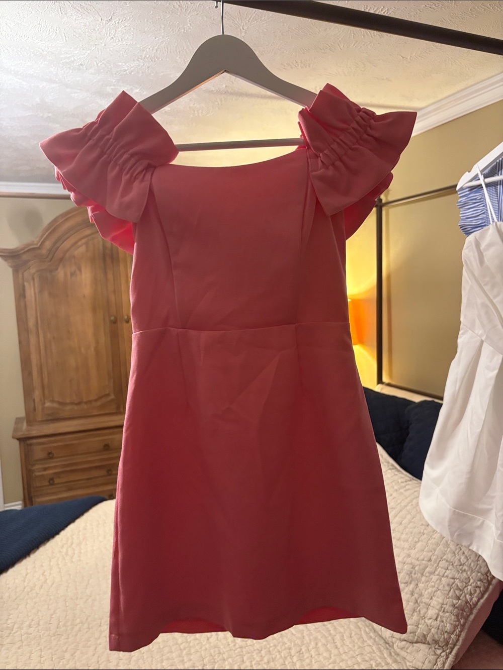 DO+BE Pink Ruffle-Sleeve Mini Dress